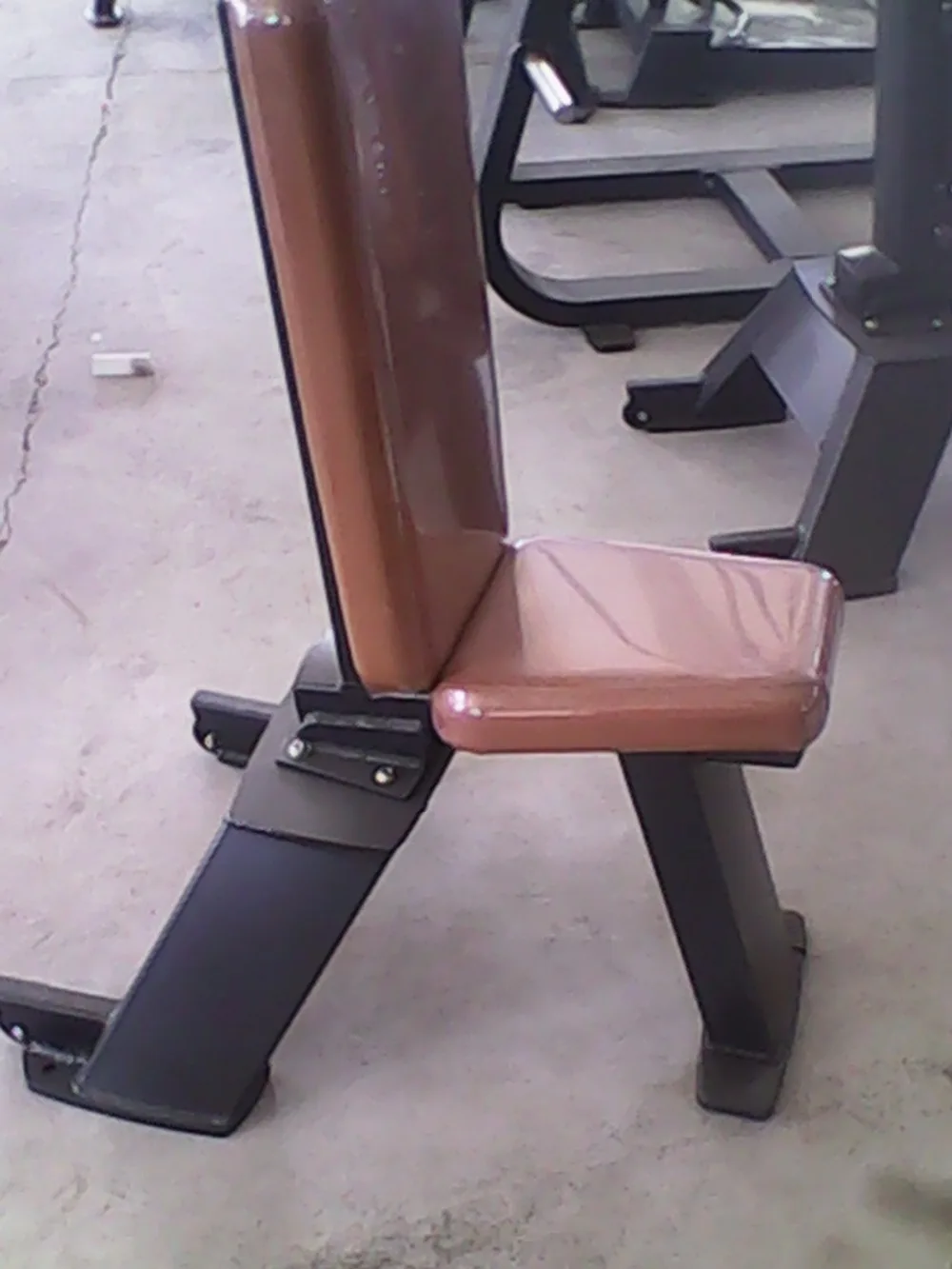 Professional Fitness Equipment Commercial Use/ Seated Utility Bench Tz