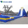 Professional supplier giant inflatable slide, giant inflatable water slide for adult, inflatable jumping slide