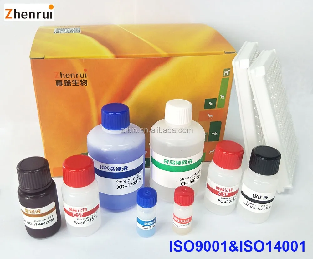 
Veterinary rapid Porcine Circovirus PCV2 ELISA Kit 
