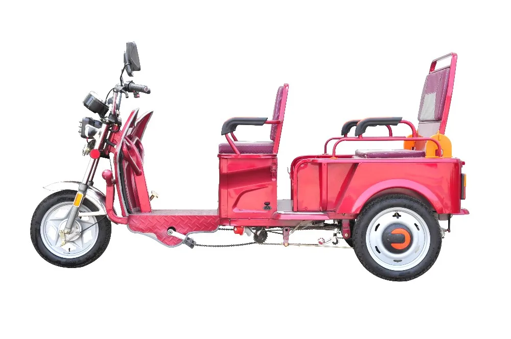 Canada Legal Pedal Type E Trike Adult 3 Wheel Bike Lithium Battery