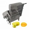 Automatic Small Capacity Fruit Washer Machine