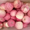 kenya apple mango new crop fresh huaniu apple with low price fresh fuji apple