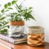 2019 new item silver gold plating christmas decor cactus plant pot / round ceramic succulent pots