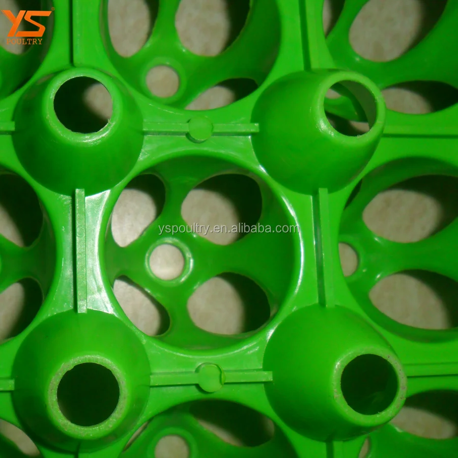 plastic egg tray 42.png