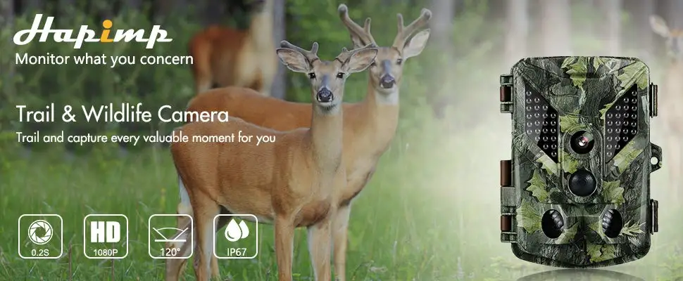 Trail wildlife camera.jpg