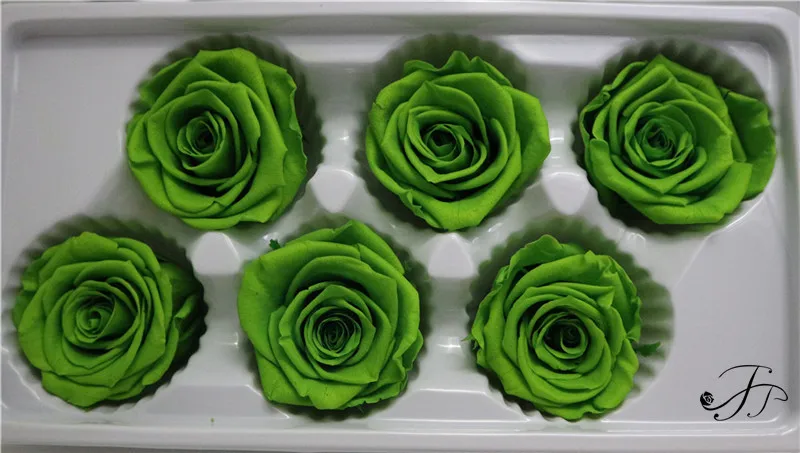 
Long lasting A grade 5-6 CM Ivory Real Preserved Flowers Roses Head for Home Decor 