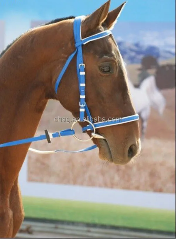Blue PVC horse bridle and rein 0317.jpg