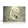 Lion Picture Office Wall Decor Wildlife African Animal Photo Print on Canvas Gallery Wrap With Wood Frame 16"x24"