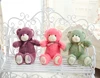 boyfriend Sidwell teddy bear with beautiful big eyes, a brown stitched nose and an endearing gaze!
