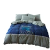 Four seasons can be used comforter offset printing technology and environmental protection printing bedding set of four