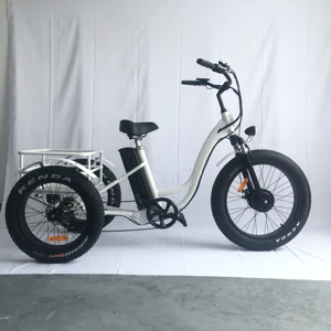 3 wheel motorized bicycle