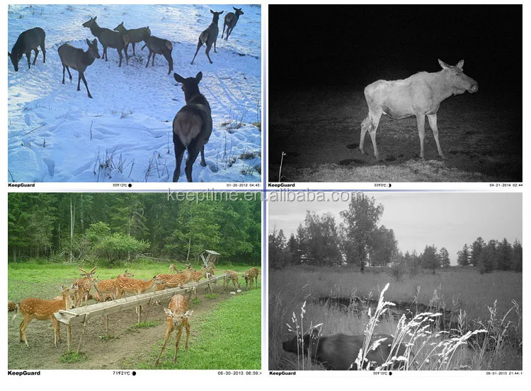 sms mms 32leds 1080p cmos sensor night vision wireless hunting game trail scouting video camera support 3g KG870