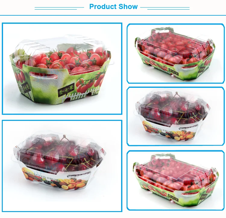 Custom Plastic Cardboard Boxes For Fruit Punnet Packaging Container ...