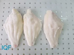 Catfish Fillet_1.jpg