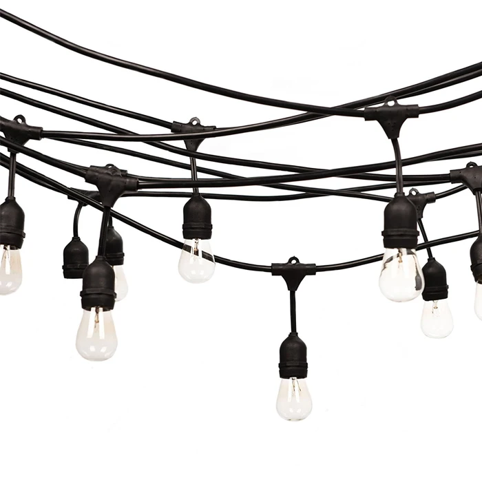festoon light-1.jpg