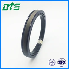 product-High Speed Standard Rotary Shaft Seals oil seal floating excavator seal kit-DMS Seal Manufac-3