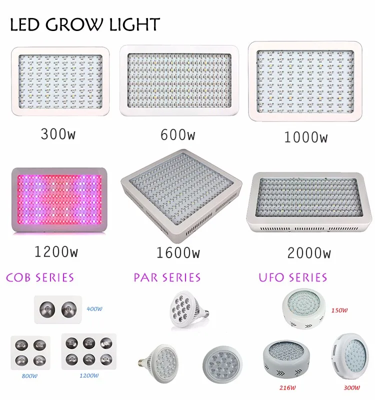 double chips 1000W Full Spectrum Hydro LED Grow Light for Medical Plants Veg and Bloom Fruit
