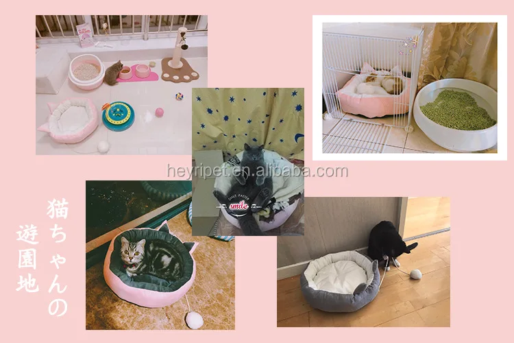 Wholesale Instagram Amazon Hot Sale Popular Dog Nest Full Sponge Cute
