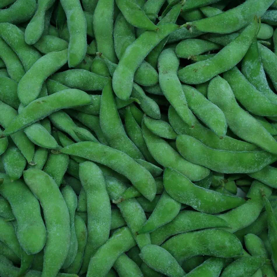 
shelled frozen iqf edamame with pods with good quality 