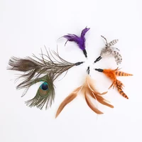 

Hot sales cat teaser feather replacement cat toy pet supplies in stock fast delivery cat toy