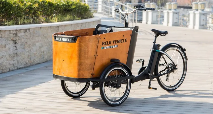 Recumbent Urban Tricycle