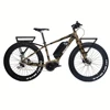 hunter off road electric bike 350w mid-drive fat tire mountain ebike big tire e bicycle