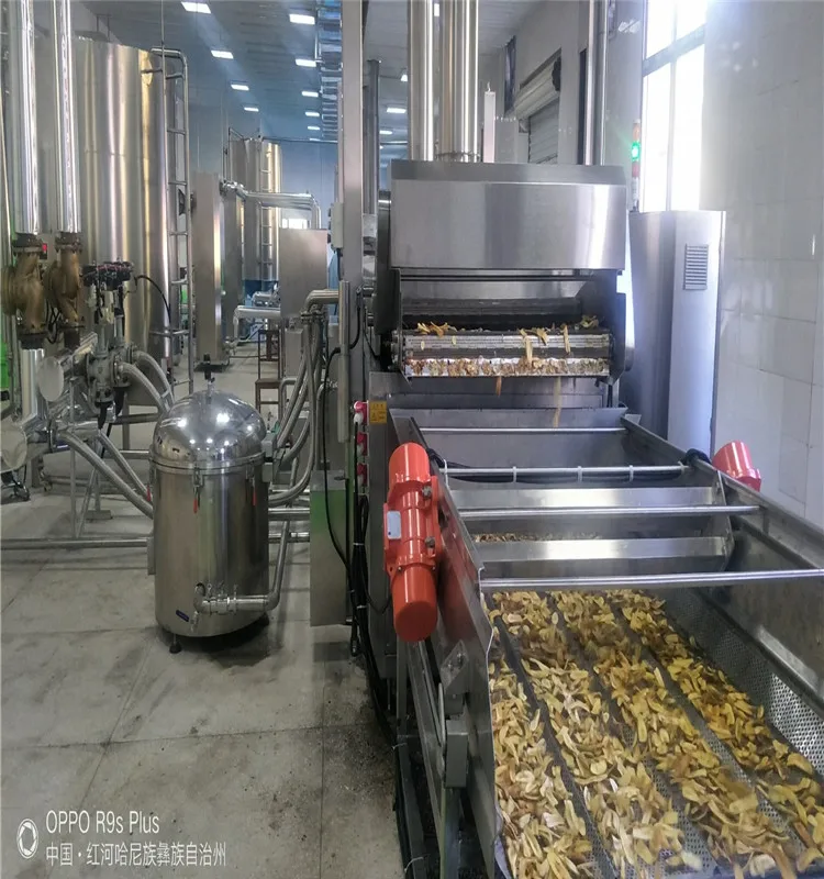 
TCA Potato Chips Machinery Chips making machine Best Seller in China 