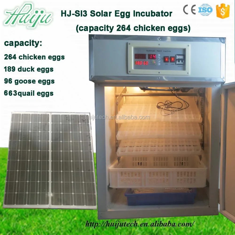 100ah Battery Solar Incubator Hjsi3 For 663 Quails Capacity Buy