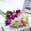 Fashionable Popular mini small cattleya baby Orchid single stem with plastic pipe