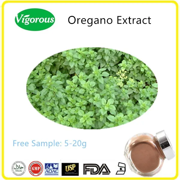 Halal Certified Herbal Oregano Extract Powder Buy Oregano Extract