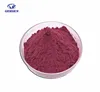 Factory supply 25% 35% Anthocyanin Extract Anthocyanin powder Black Current Extract
