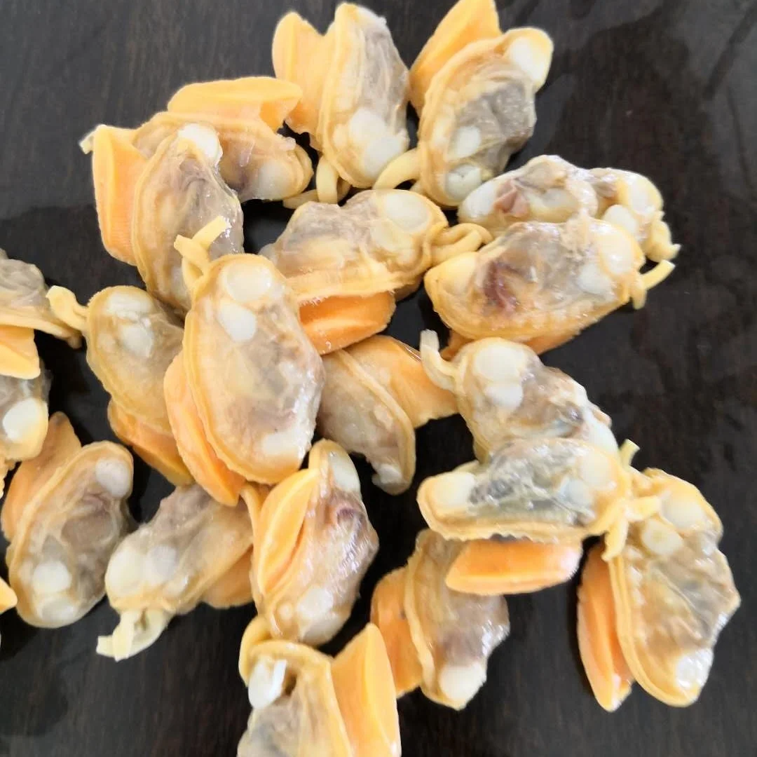 
Good Sale Frozen Oil Clams / Cooked Clam Meat Indonesia Seafood 