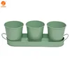 Metal planter set of 3 pcs with holding tray perfect for gardening cultivation & other horticultural activities