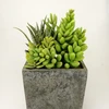 /product-detail/artificial-high-quality-mini-succulent-mix-style-plant-arrangement-in-wooden-pot-best-for-office-decor-62172775865.html