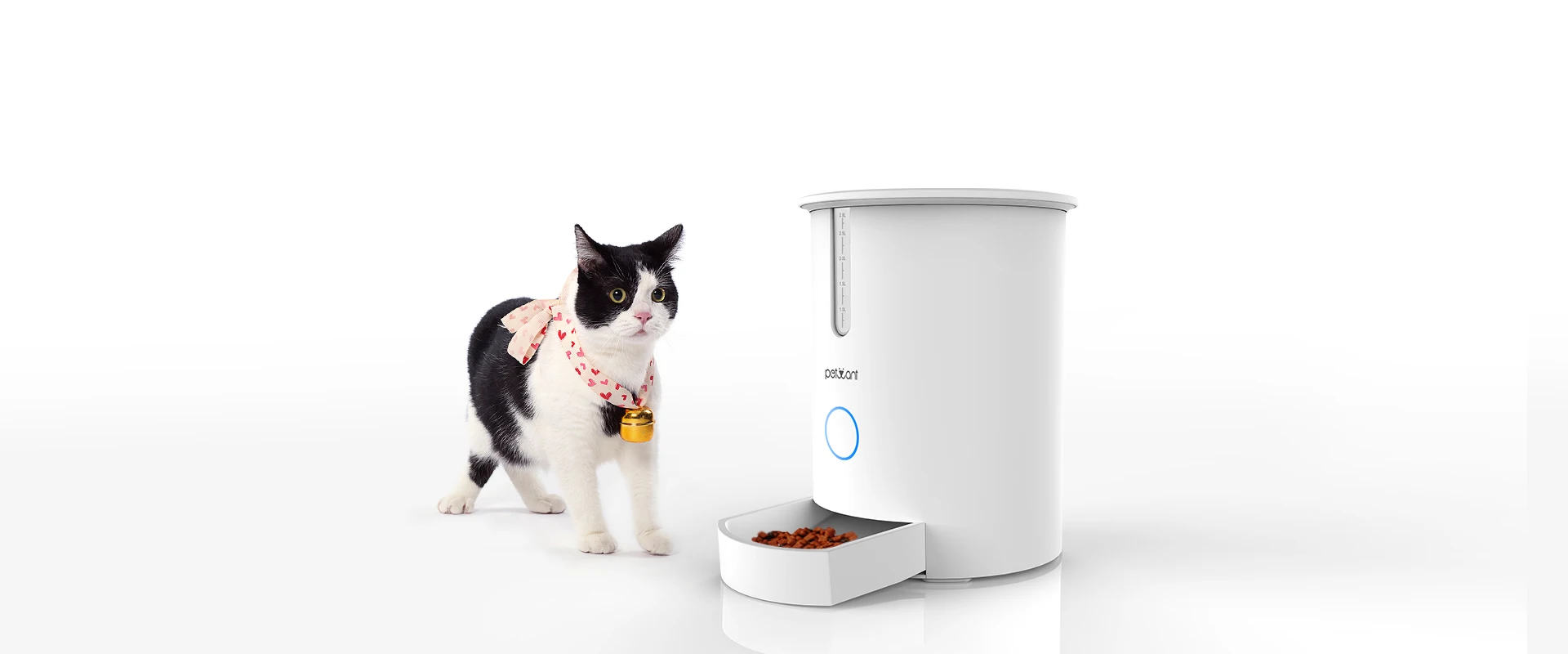 Automatic Cat Feeder Pet Food Dispenser With App And Portion