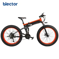 

2019 New Powerful 500W/1000W Folding Mountain Electric Bike with Long Range