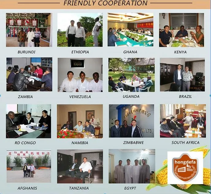 Hongdefa maize wheat mill machine.jpg