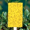 Double side Garden Strong Flies Sticky Insect Glue Traps Glue Stickers
