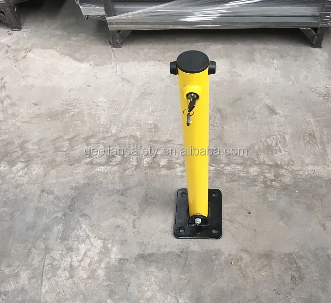 Reserved Parking Protector