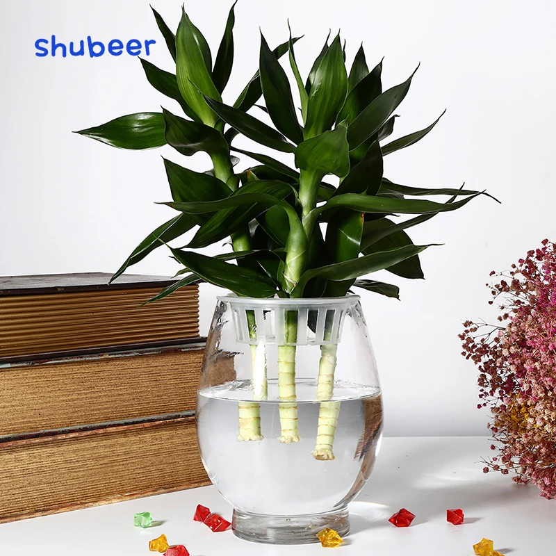

Factory direct sale clear glass vase terrarium big for wedding