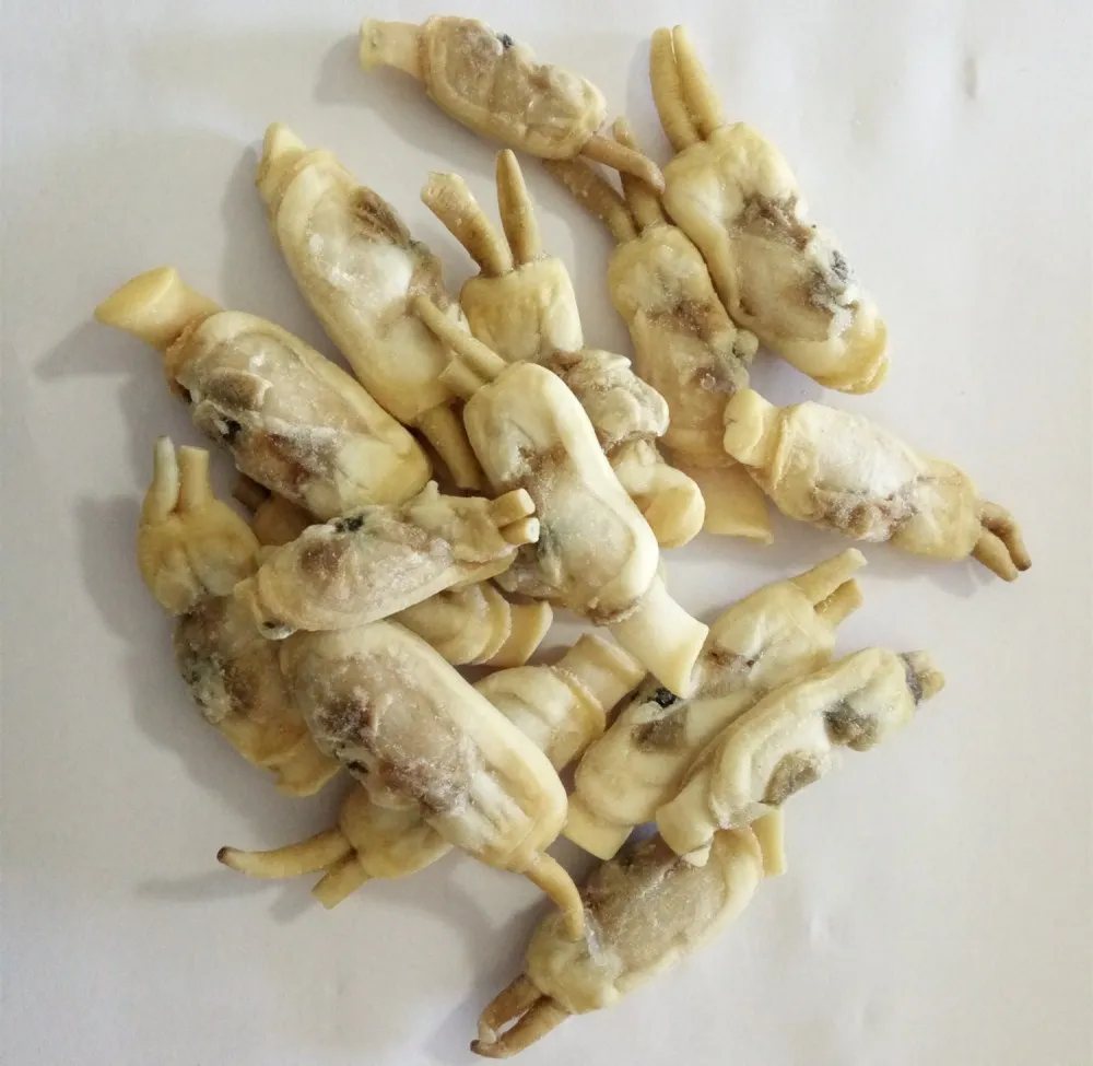 frozen razor clam