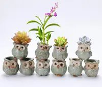 

2018 Lovely Garden Pot Breathable Owl Ceramics Flowerpots Anti Wear Corrosion Resistant Mini Planters