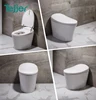 electric auto cleaning toilet seat sanitary ware
