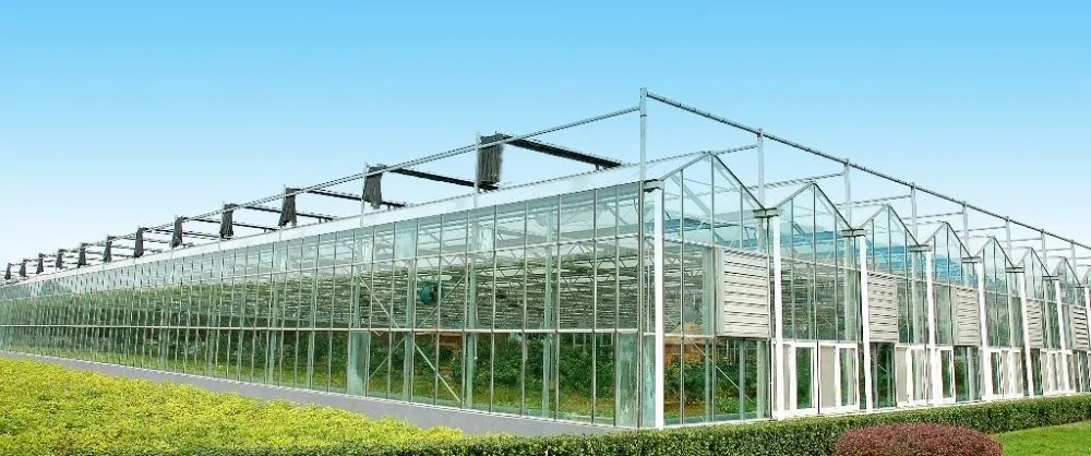agricultural multispan arch type po film greenhous