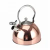 Easy Grips Classic Tea Kettle, Stainless Steel Whistling Style, Copper Surface