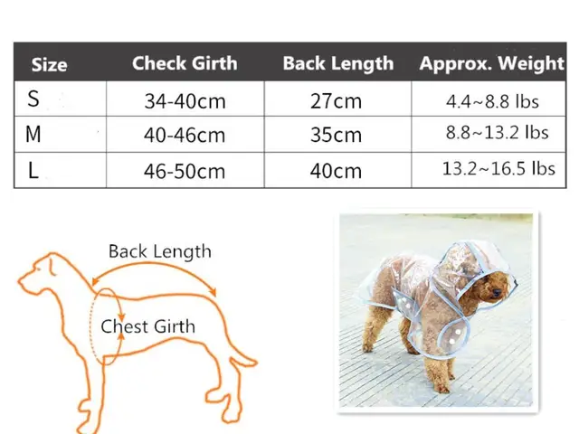 Fashion Reflective Pet Dog Raincoat With Hood Poncho Eco Waterproof Puppy Jacket Pet Rain Gear Clothes For Small Dogs Cats Buy Pet Dog Raincoat Waterproof Dog Raincoat Cat Rain Coat Puppy Jacket Pet Rain Gear Clothes For Small Dogs Cats