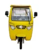 india electric rickshaw import price hold 4-5 passengers