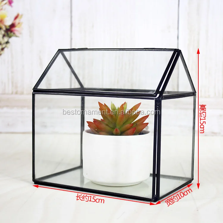 Irregular Glass Gold Geometric Terrarium For Tabletop Succulent Plant