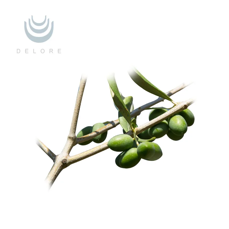 olive leaf extract035