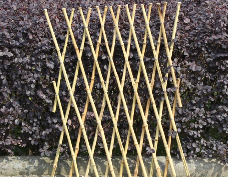 Hot Sale Bamboo Fence Garden Bamboo Fence Buy Cheap Bamboo Fencing